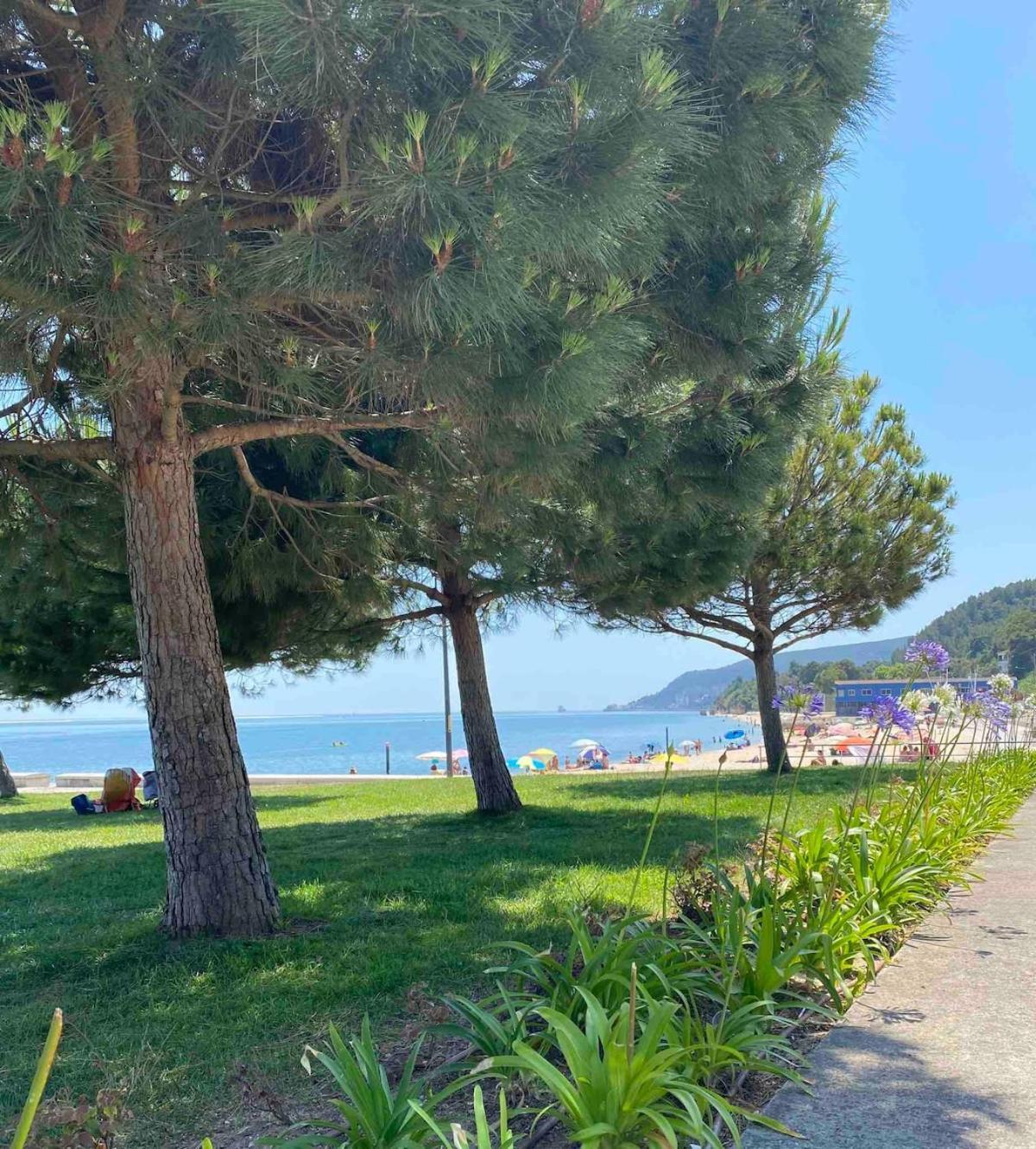 Seaside Glow Setubal Ngoại thất bức ảnh